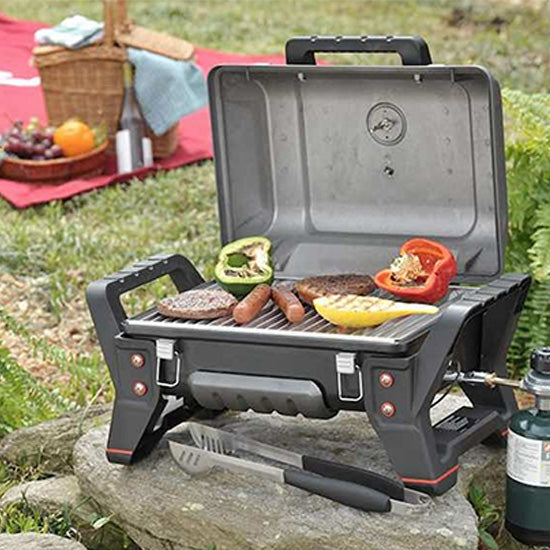 Thermos Grill 2 Go - portable, propane gas, non-stick griddle