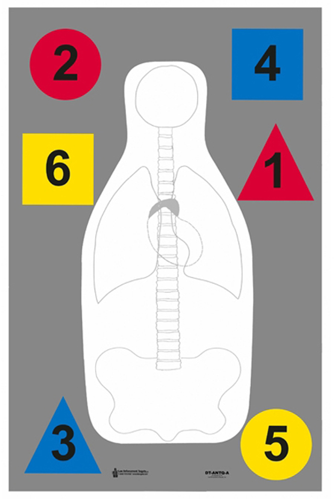 Action Tgt Dt Anatomy Multi 100pk