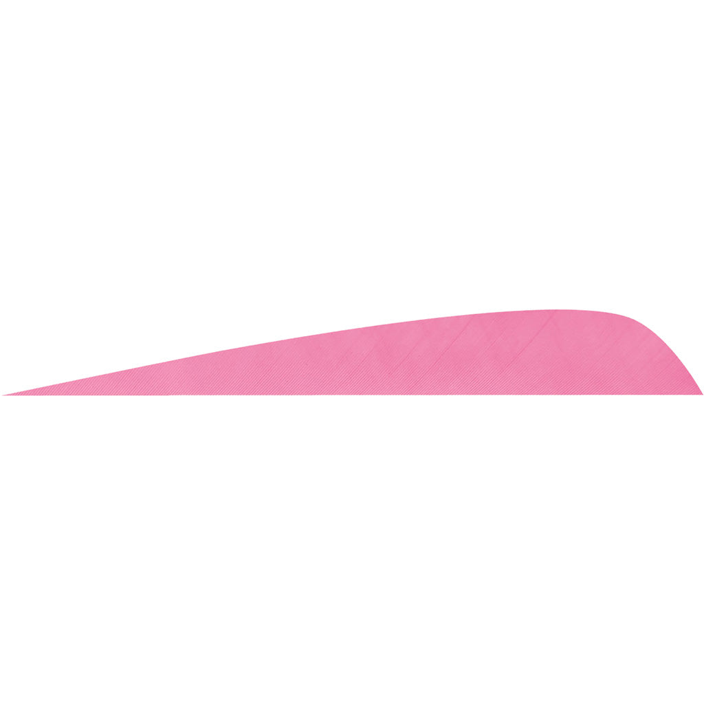 Gateway Parabolic Feathers Flo Pink 4 In. Rw 50 Pk.