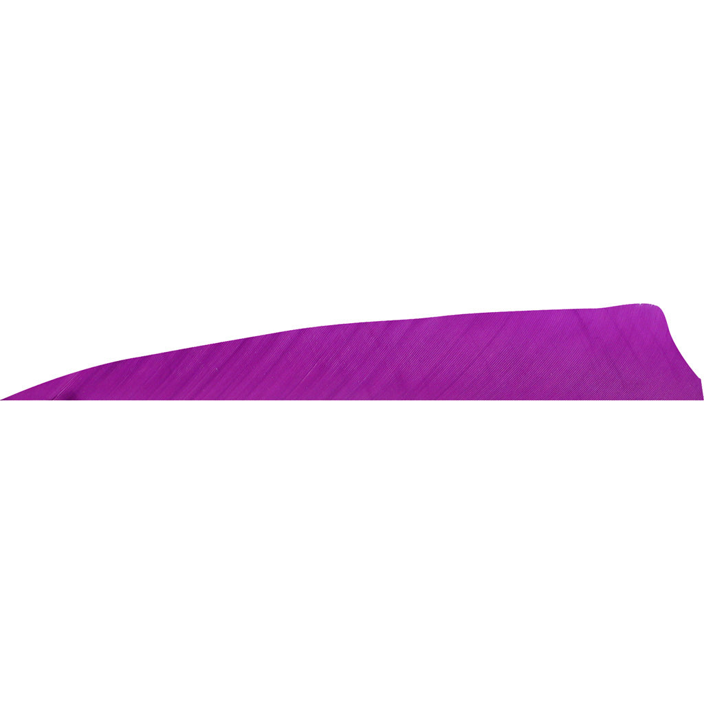 Gateway Shield Cut Feathers Purple 4 In. Rw 50 Pk.