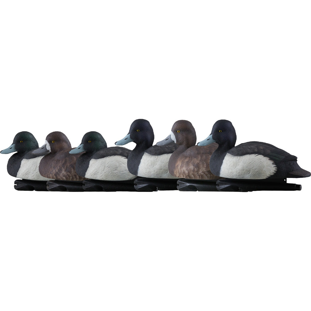 Avianx Top Flight Duck Decoys Blue Bills 6 Pk.