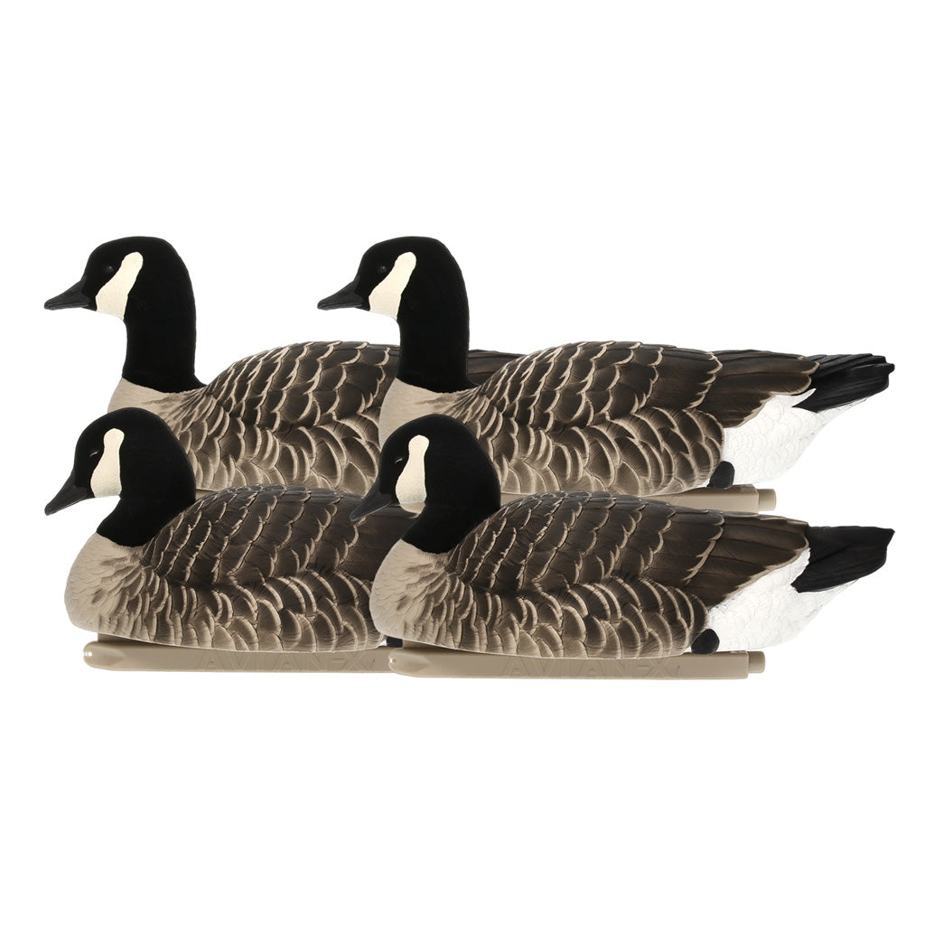 Avianx Top Flight Goose Decoys Lesser Goose 4 Pk.