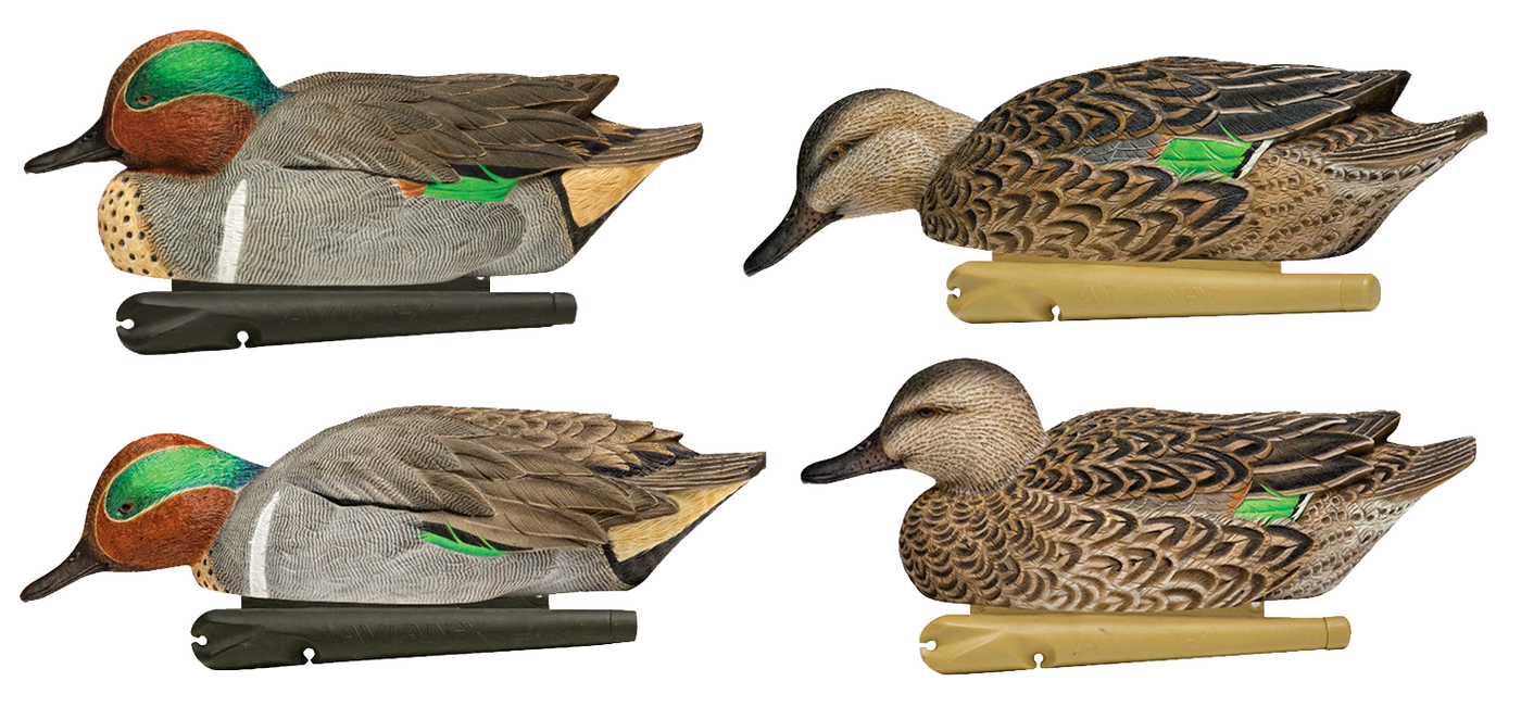 Avianx Top Flight Duck Decoys Green-winged Teal 6 Pk.