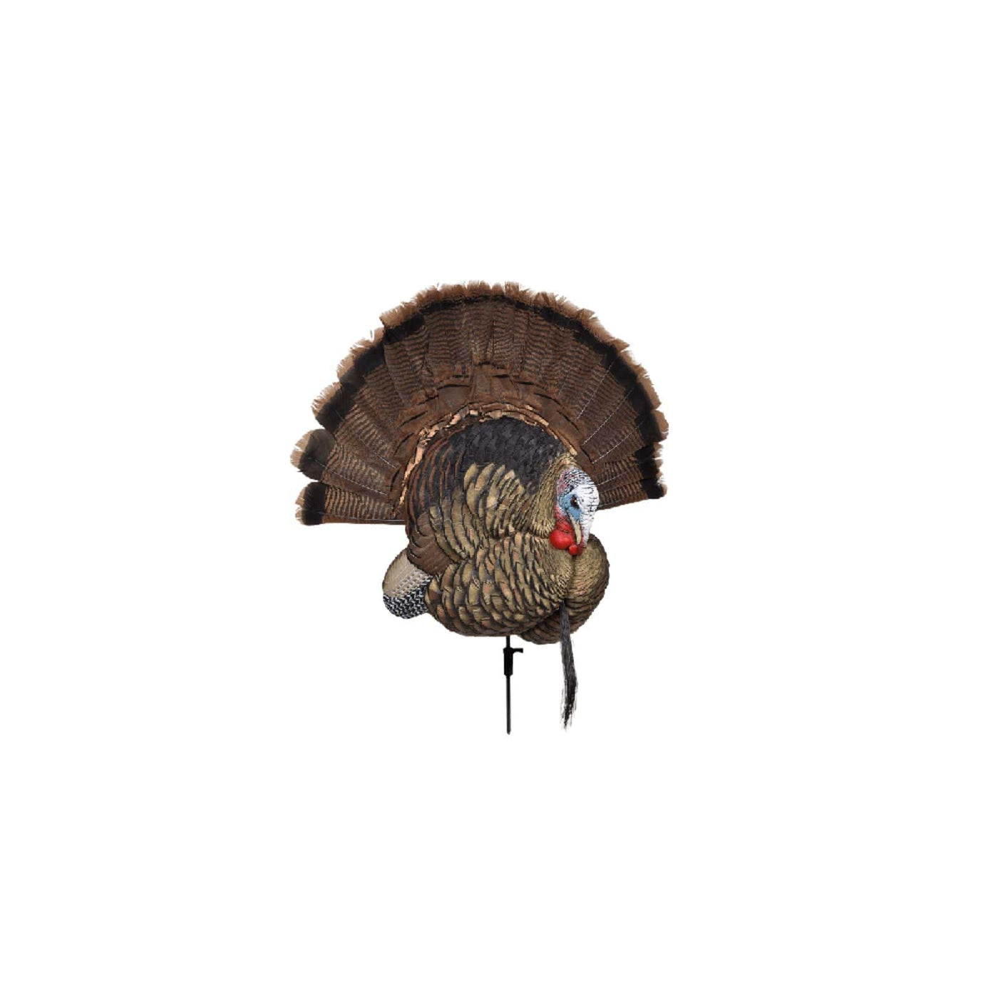 Avian-X Avian-X Trophy Tom Decoy Hunting