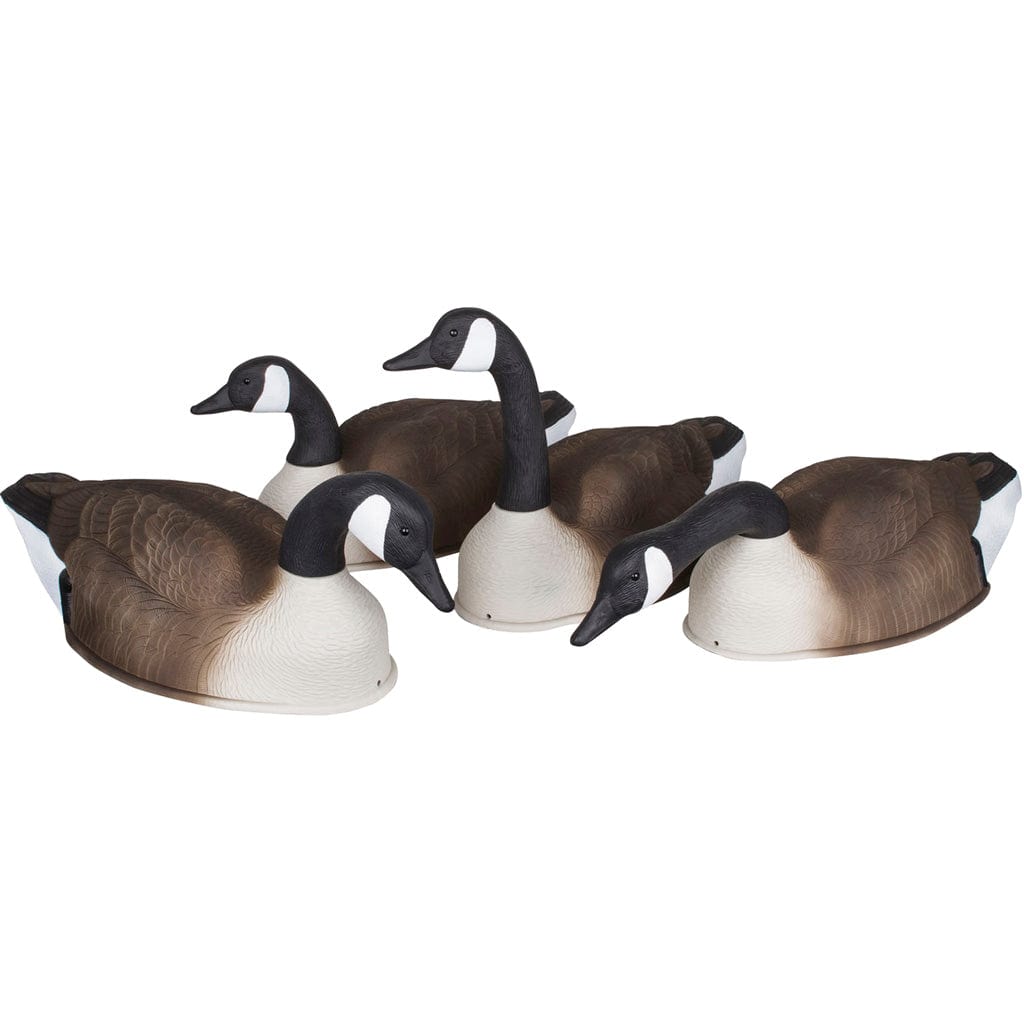 Flambeau Flambeau Shell Pack Canada Goose Decoy 4 Pk. Decoys