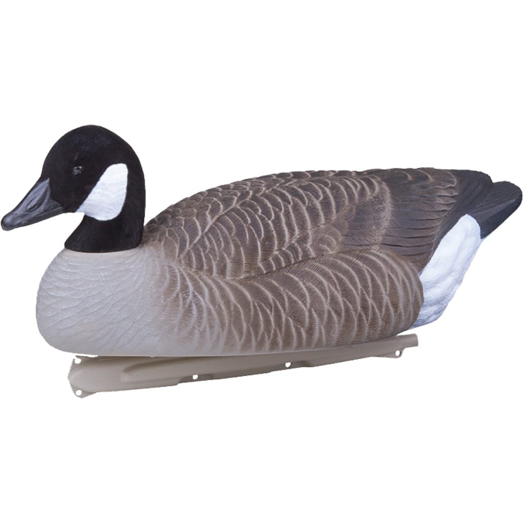 Flambeau Flambeau Water Pack Canada Goose Decoy 4 Pk. Decoys