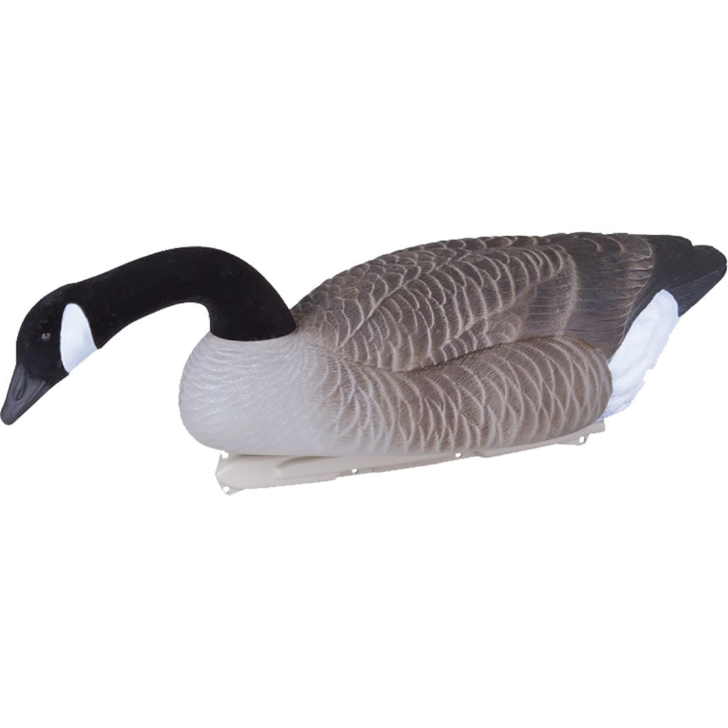 Flambeau Flambeau Water Pack Canada Goose Decoy 4 Pk. Decoys