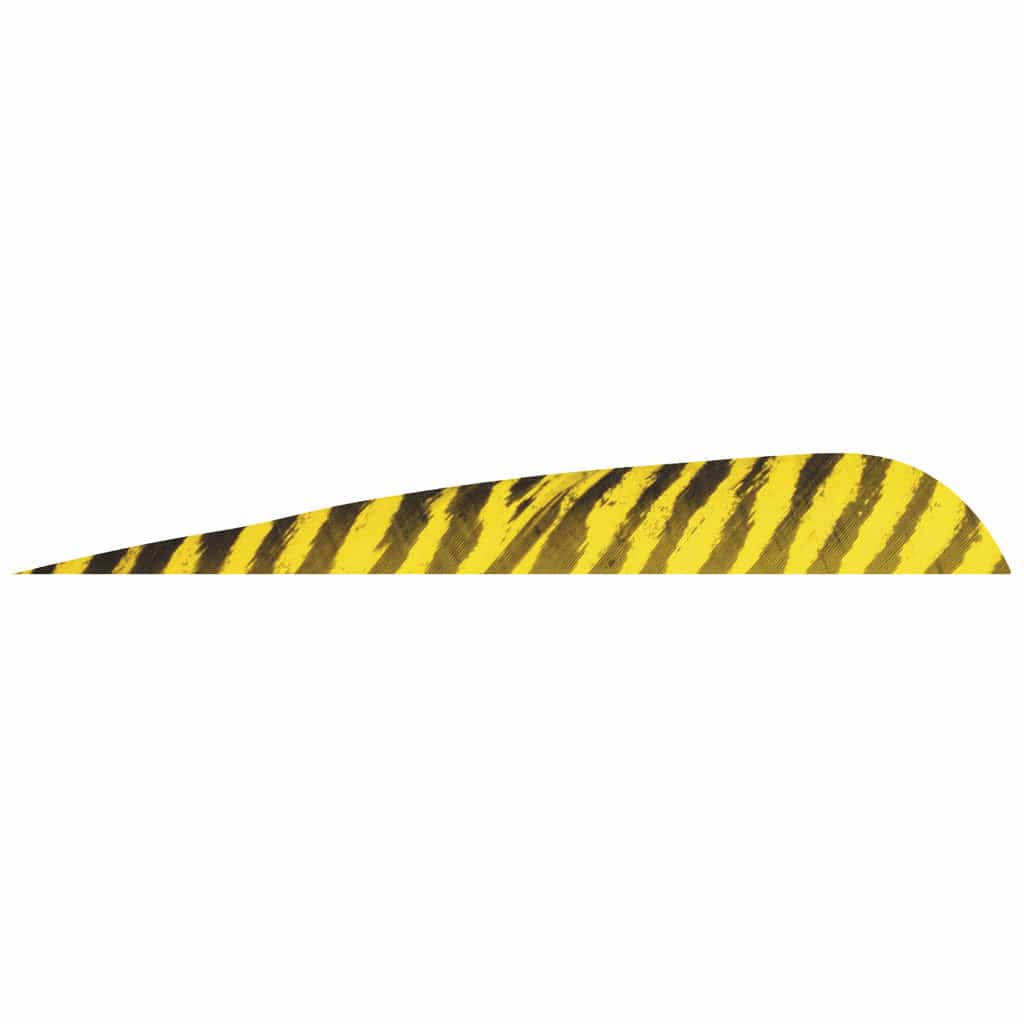 Gateway Gateway Barred Feathers Yellow 5 In. Rw 50 Pk. Fletching Tools and Materials