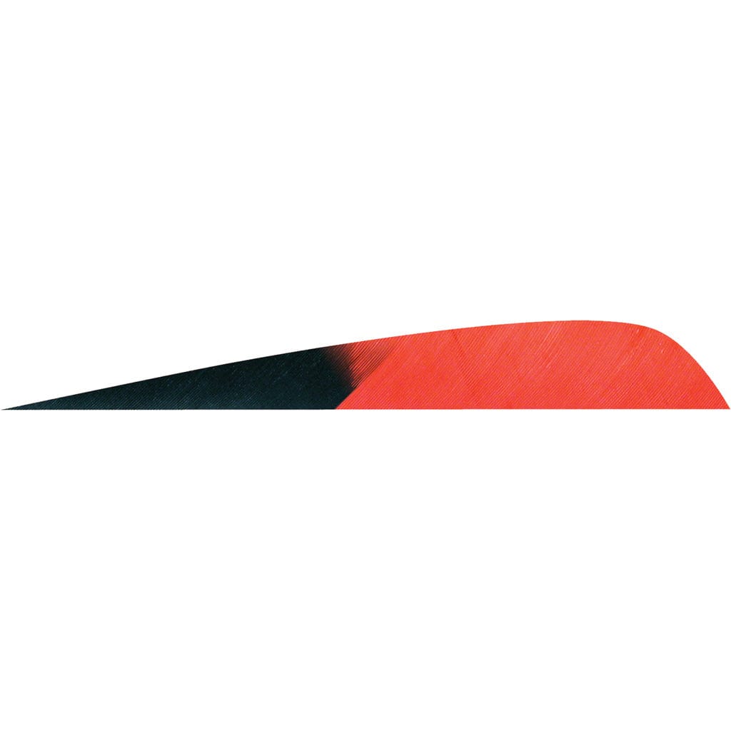 Gateway Gateway Parabolic Feathers Kuro Red 4 In. Lw 50 Pk. Fletching Tools and Materials