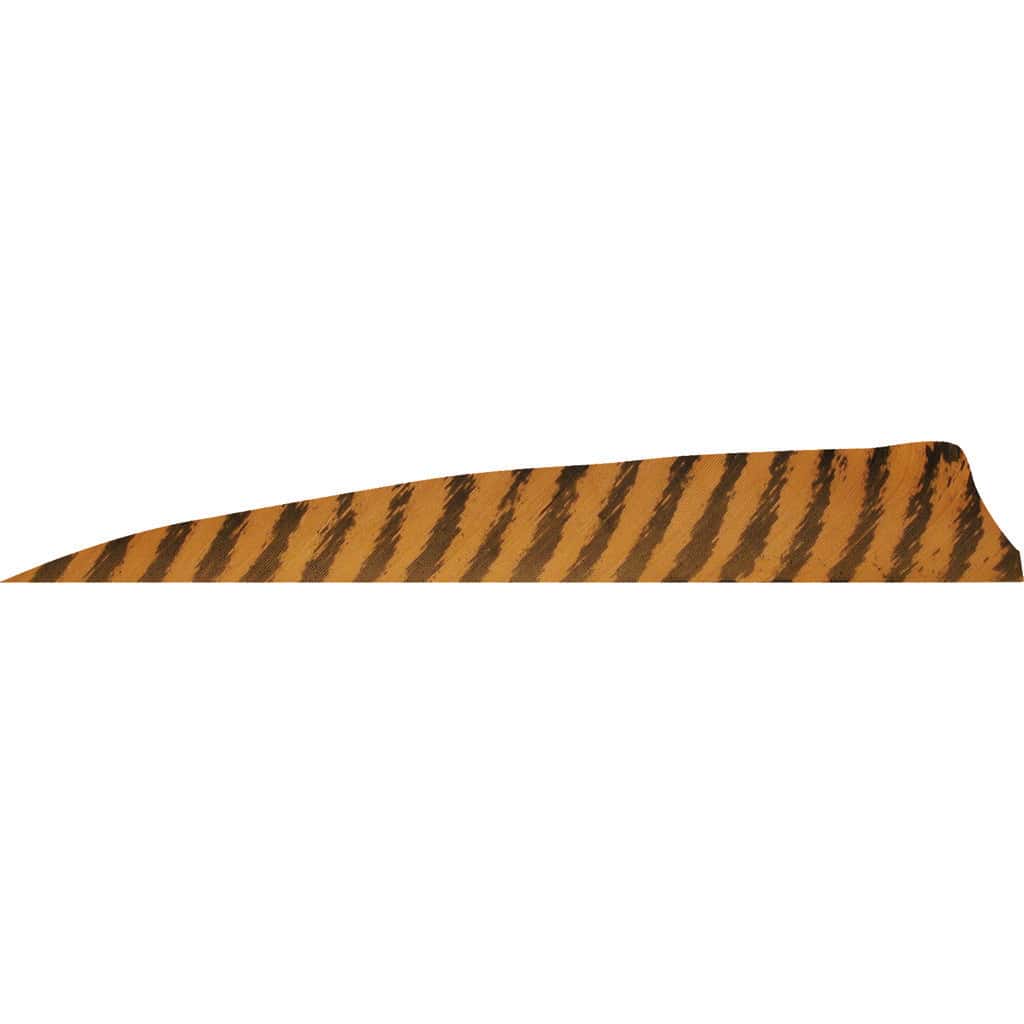 Gateway Gateway Shield Cut Feathers Barred Brown 4 In. Lw 50 Pk. Fletching Tools and Materials