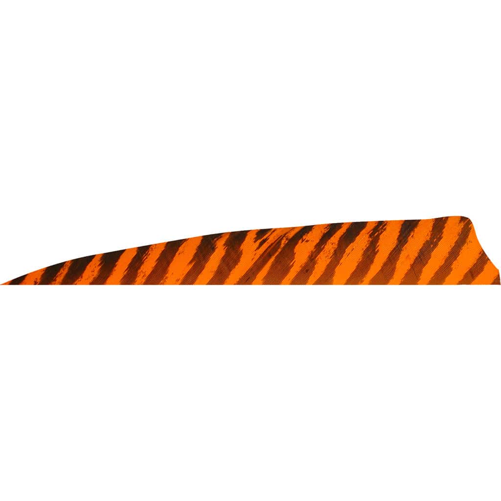 Gateway Gateway Shield Cut Feathers Barred Orange 4 In. Lw 50 Pk. Fletching Tools and Materials