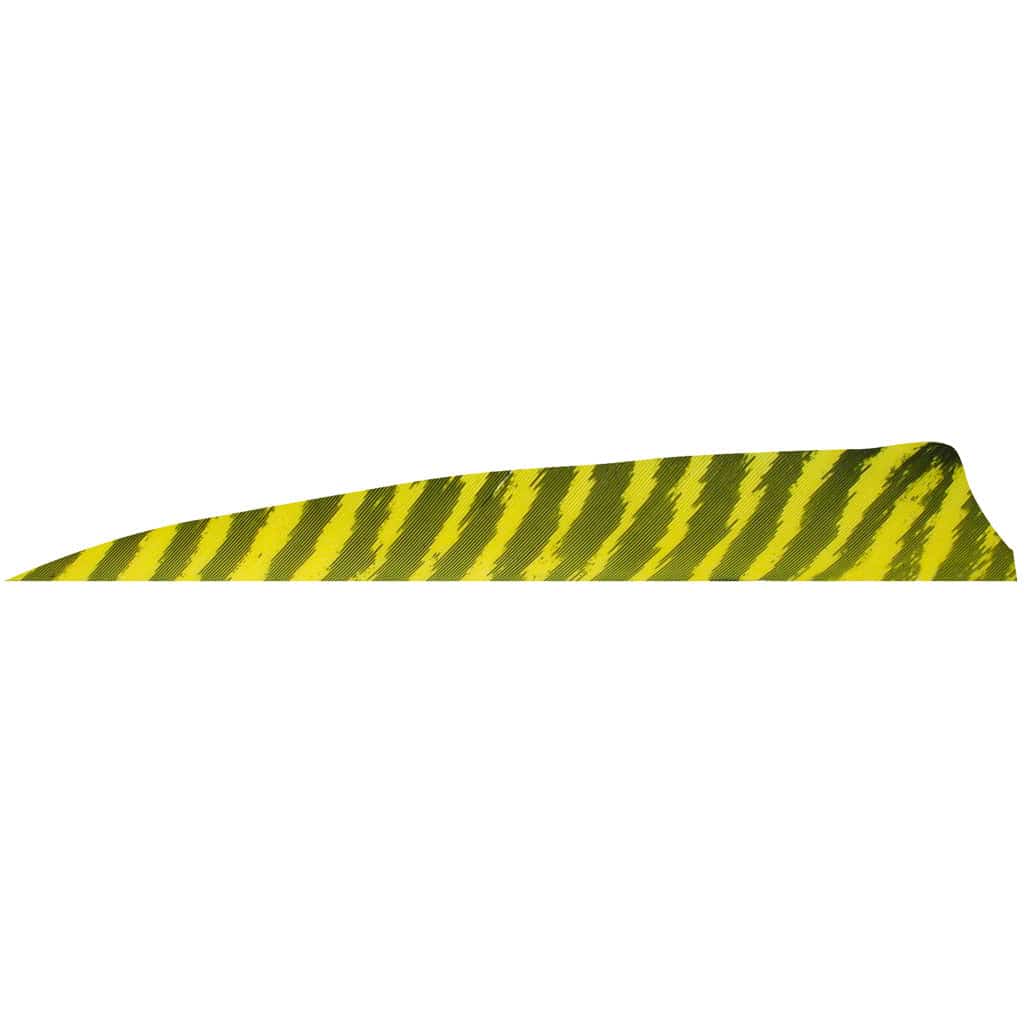 Gateway Gateway Shield Cut Feathers Barred Yellow 4 In. Rw 100 Pk. Fletching Tools and Materials