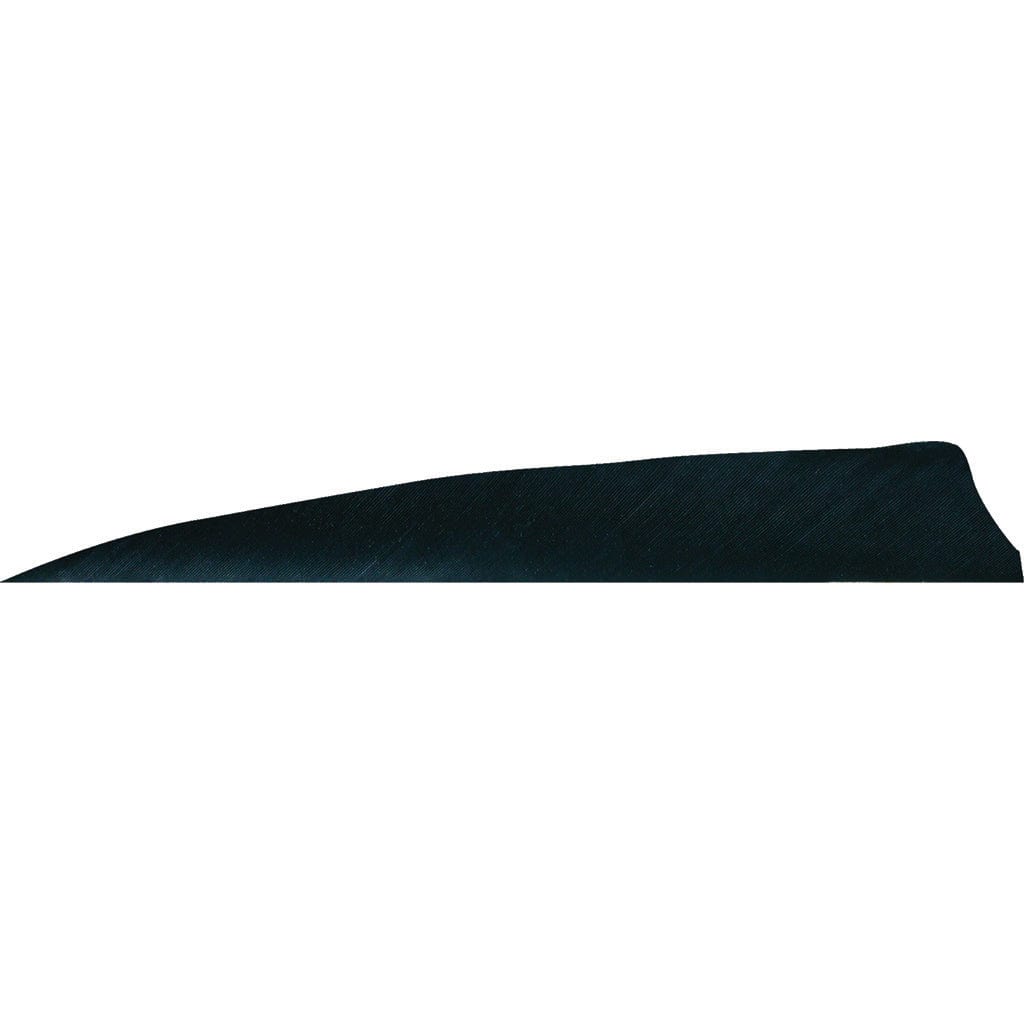 Gateway Gateway Shield Cut Feathers Black 4 In. Lw 50 Pk. Fletching Tools and Materials