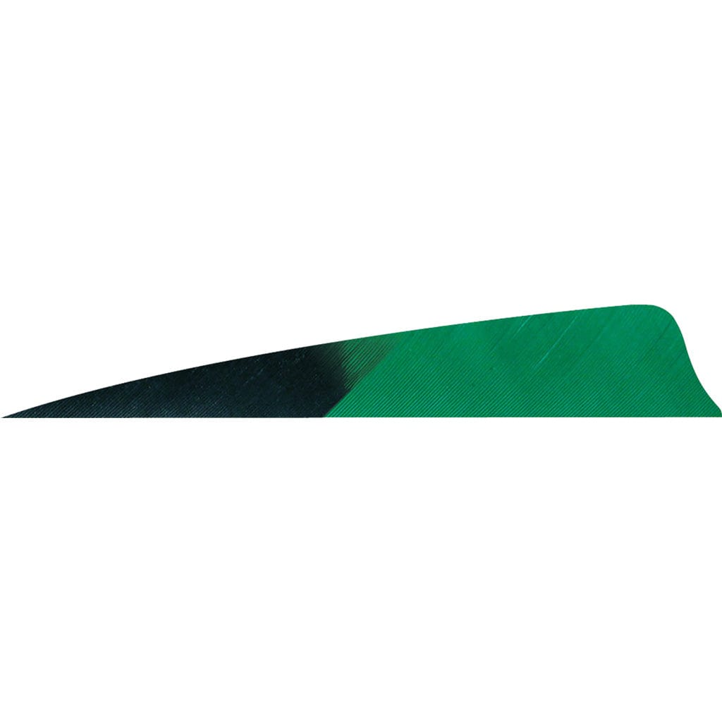 Gateway Gateway Shield Cut Feathers Kuro Green 4 In. Lw 50 Pk. Fletching Tools and Materials