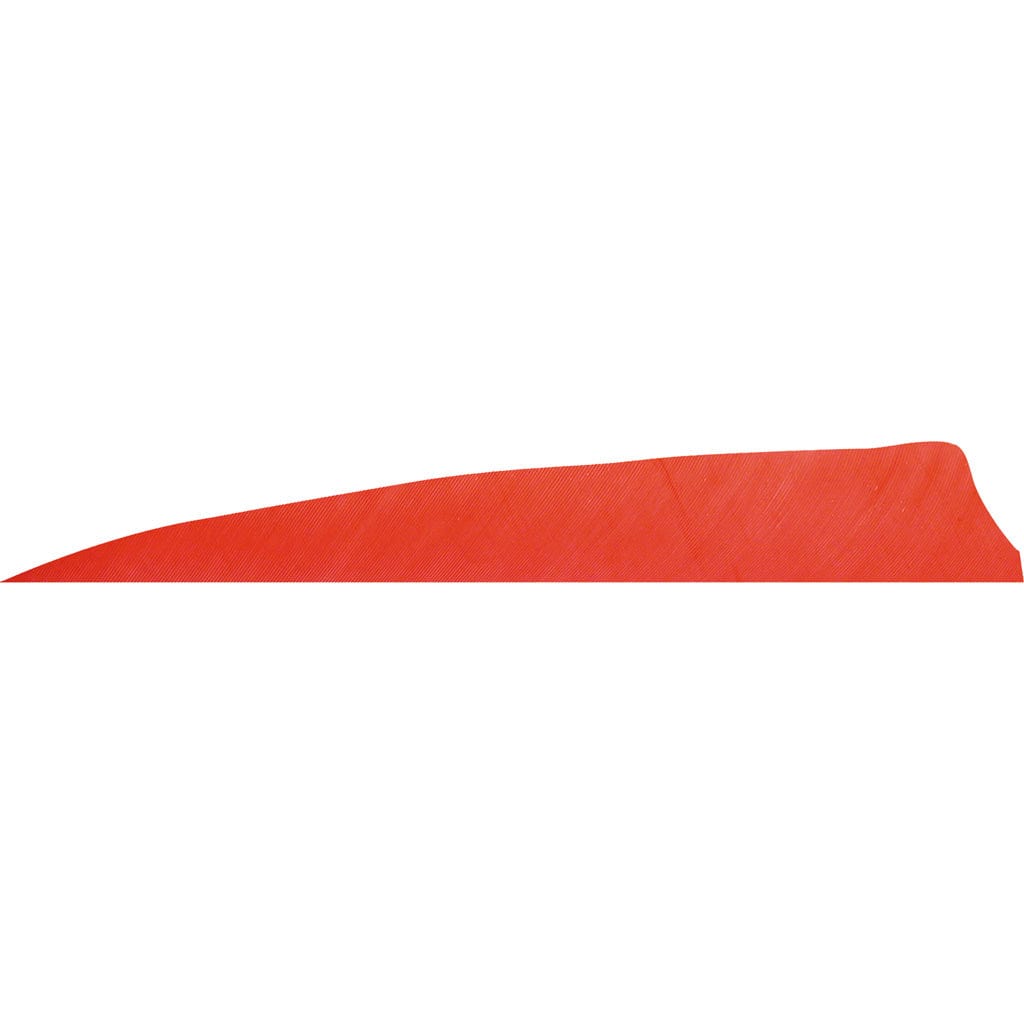 Gateway Gateway Shield Cut Feathers Red 4 In. Rw 50 Pk. Fletching Tools and Materials