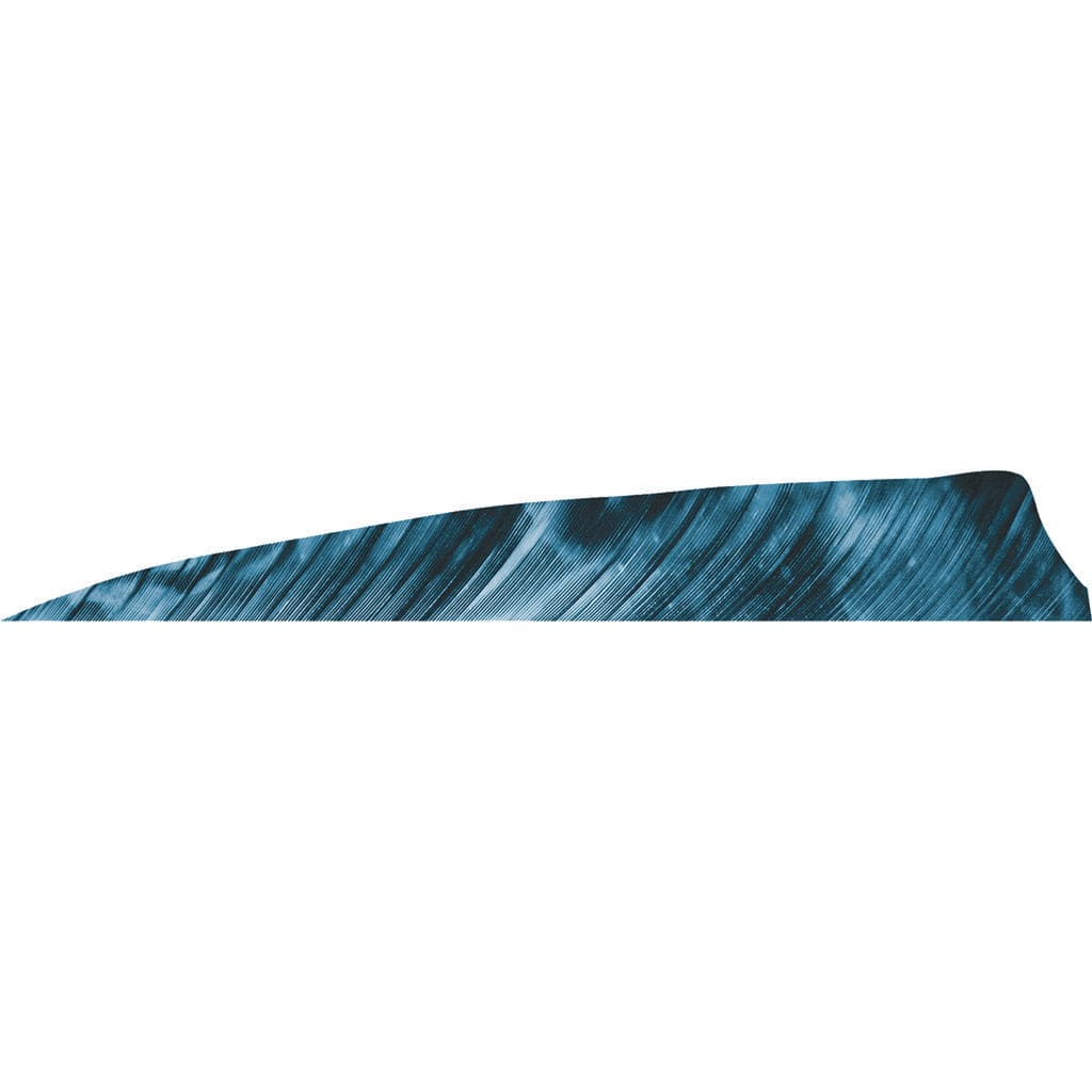 Gateway Gateway Shield Cut Feathers Tre Blue 4 In. Rw 50 Pk. Fletching Tools and Materials