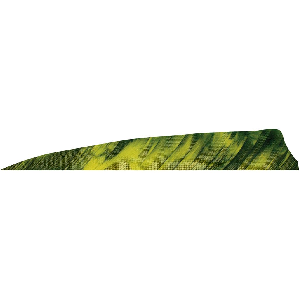 Gateway Gateway Shield Cut Feathers Tre Yellow 4 In. Lw 50 Pk. Fletching Tools and Materials