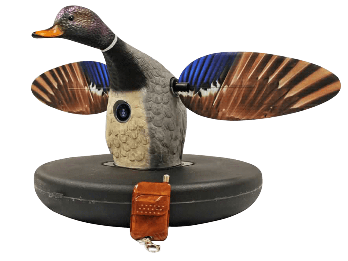 Mojo Mojo Elite Series Mallard Decoy Hunting