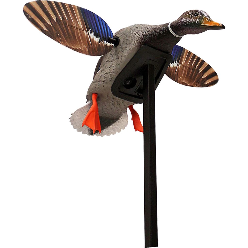 Mojo Mojo Elite Series Mallard Decoy Hunting